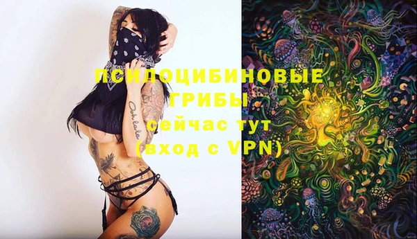 ALPHA PVP Богданович