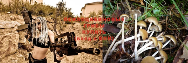 ALPHA PVP Богданович