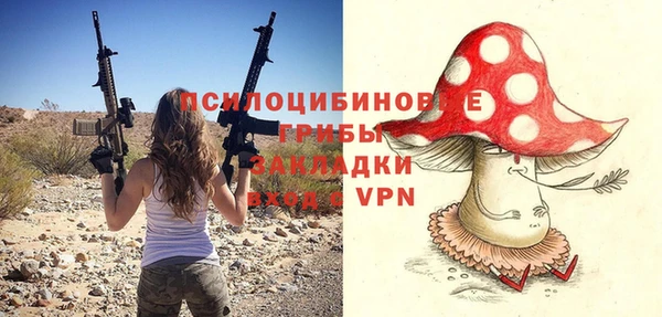 соль ск Богородицк