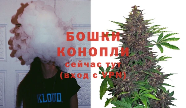 ALPHA PVP Богданович