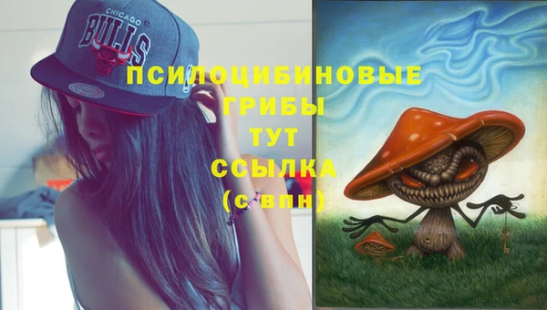 дмт Богородск